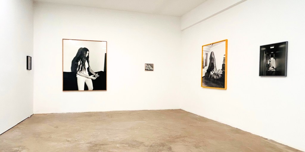 Curatorial statement – Joanna Piotrowska’s exhibition