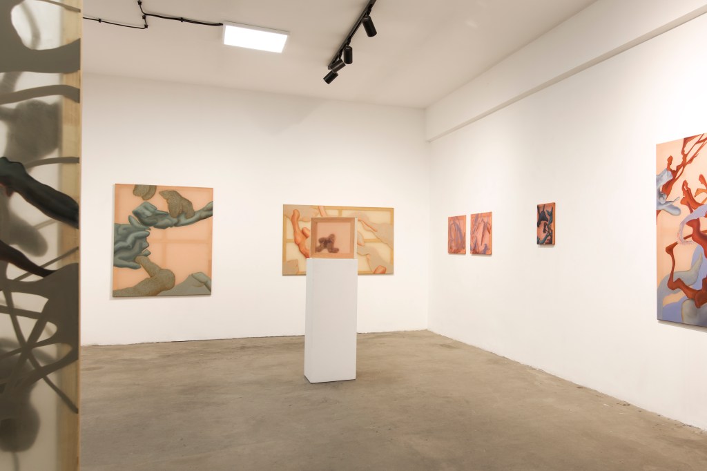 Julia Królikowska, Czułe&nbsp;powłoki