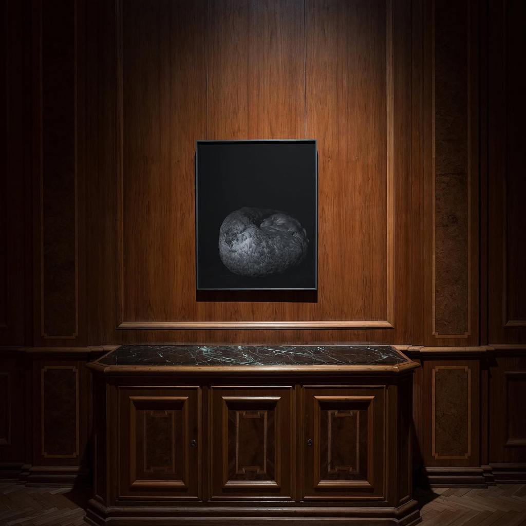 MARTWE ŹRÓDŁA dla Miej Miejsce